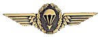 Germany Jump Wings (Bronze) Germany Jump Wings (Bronze)