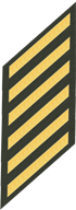 Six Service Stripes