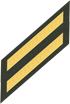 Two Service Stripes