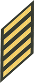 Five Service Stripes