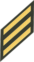 Three Service Stripes
