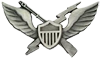 Air Assault Badge 11th AAD 1964
