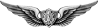 Aviation Badge (Basic)