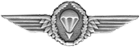 Germany Jump Wings (Silver)