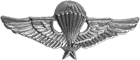 Vietnam - Jump Wings