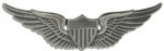 Aviator Badge (Basic)